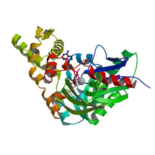 Crystal structure of the ATPase domain in human Grp78/BiP (HspA5) complexed to ATP