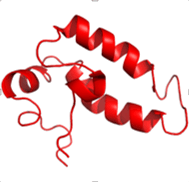 HSP40 Structure - J-domain (residues 1-76) of human type 2 DNAJ/HSP40 family member DnaJB1/Hdj1