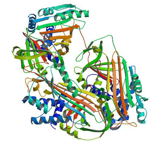 Crystal structure of a Serpin A1 trimer