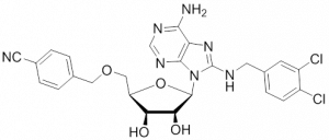 HSP70 inhibitor ver-155008